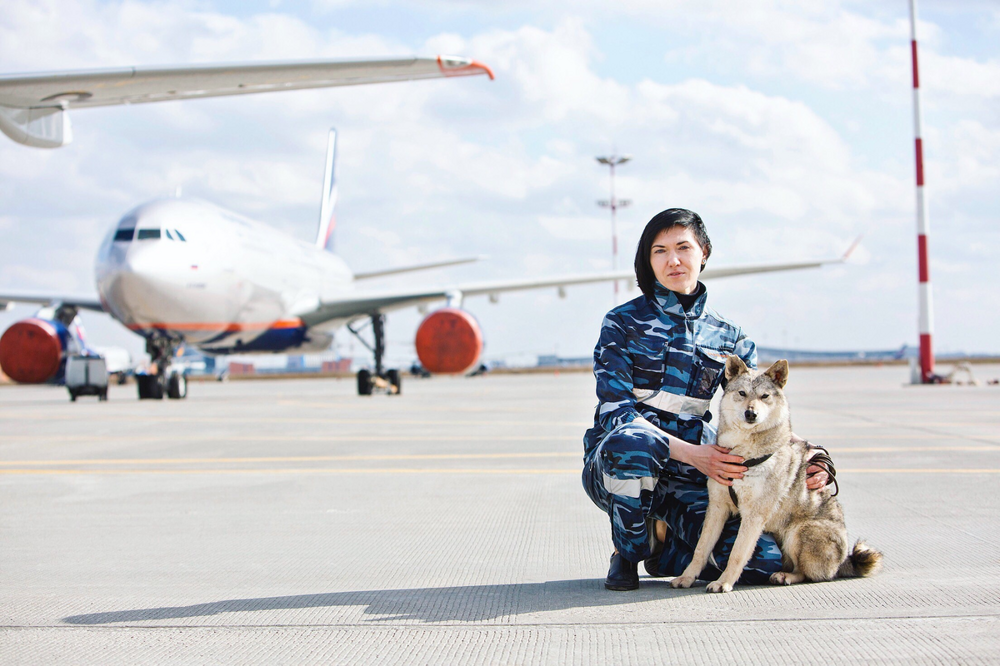 Шалайка: триумф советских учёных Шалайка: триумф советских учёных