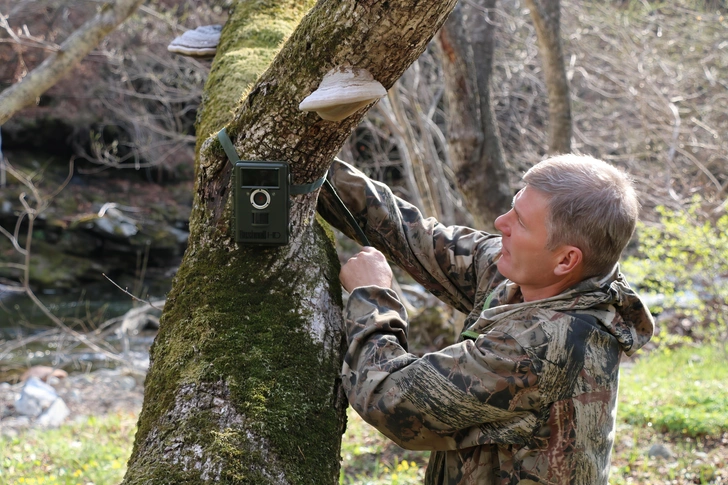 Источник: пресс-служба нацпарка «Земля леопарда»