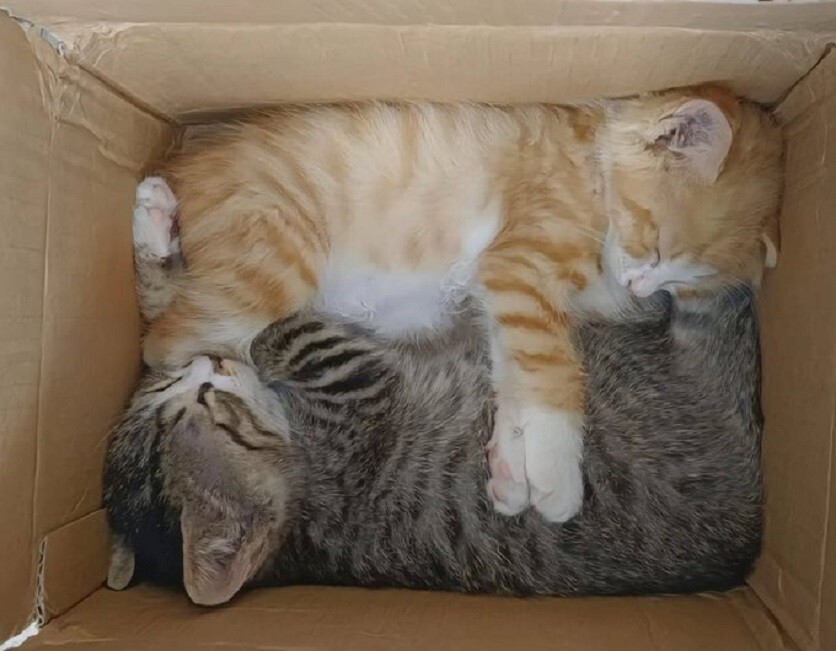 Фото настроение