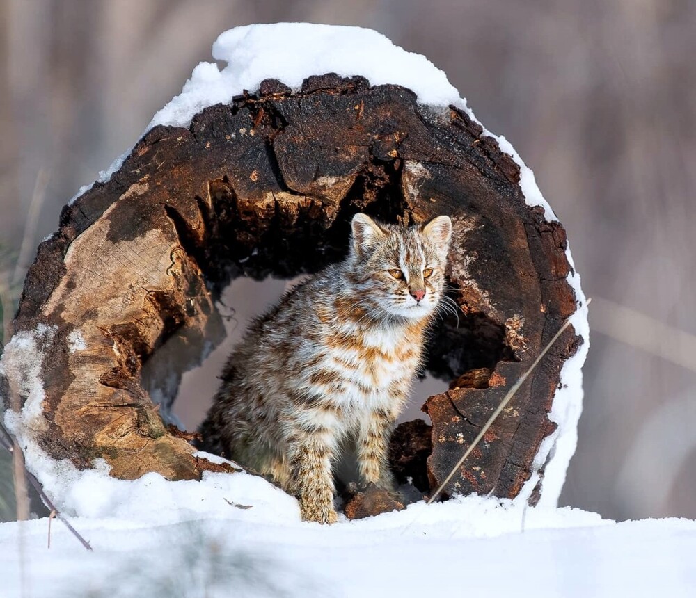 Фото настроение