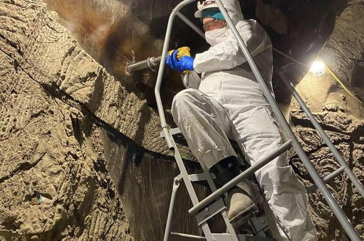 Ученый берет образец со стен Туннеля вечной мерзлоты | Источник: Tristan Caro