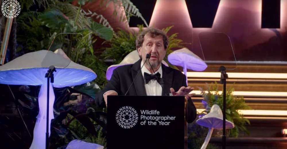 От этого глаза просто невозможно оторвать глаз