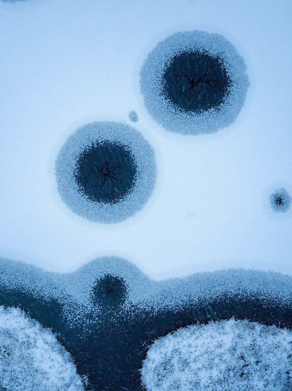 От этого глаза просто невозможно оторвать глаз