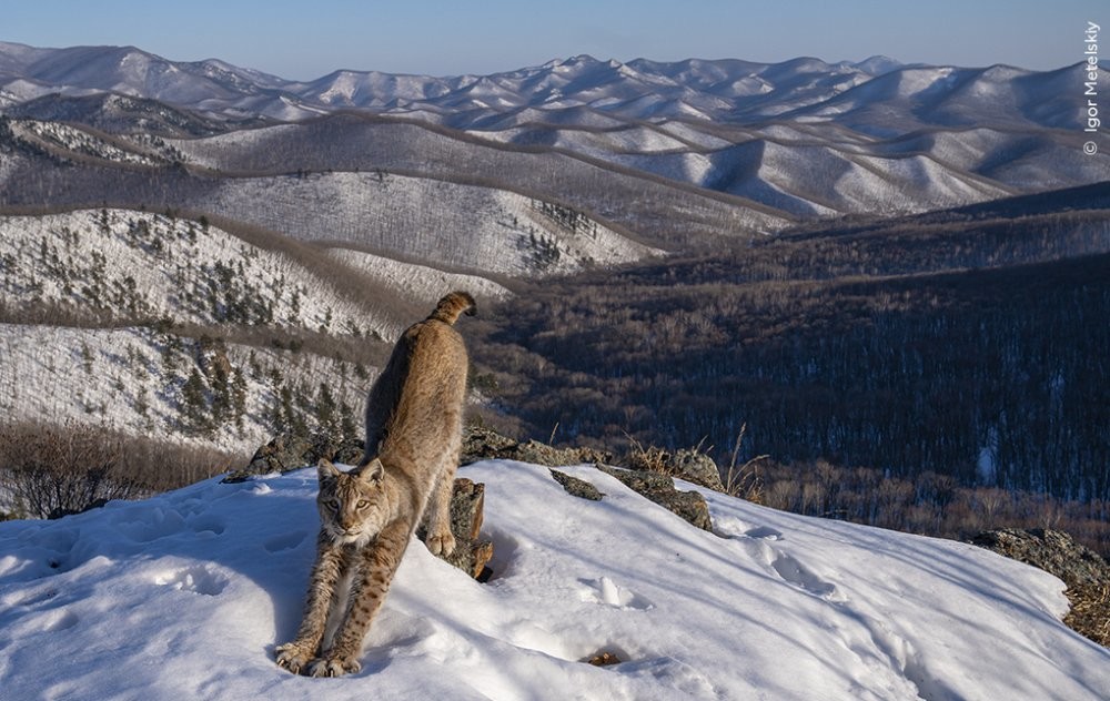 От этого глаза просто невозможно оторвать глаз От этого глаза просто невозможно оторвать глаз