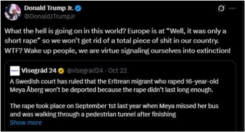 В Швеции мигрант изнасиловал подростка, но суд встал на его сторону и отказал в депортации