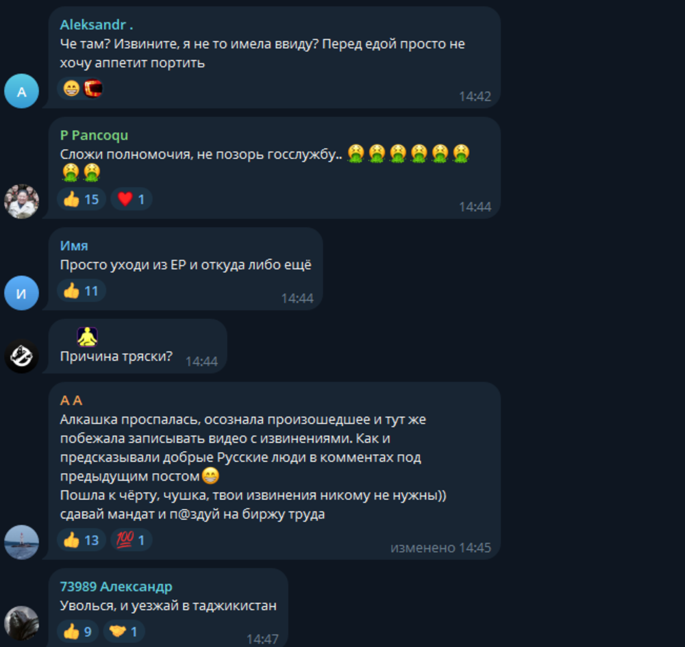 Депутата из Дубны призвали лишить мандата после высказываний о неумеющих и нежелающих работать славянах