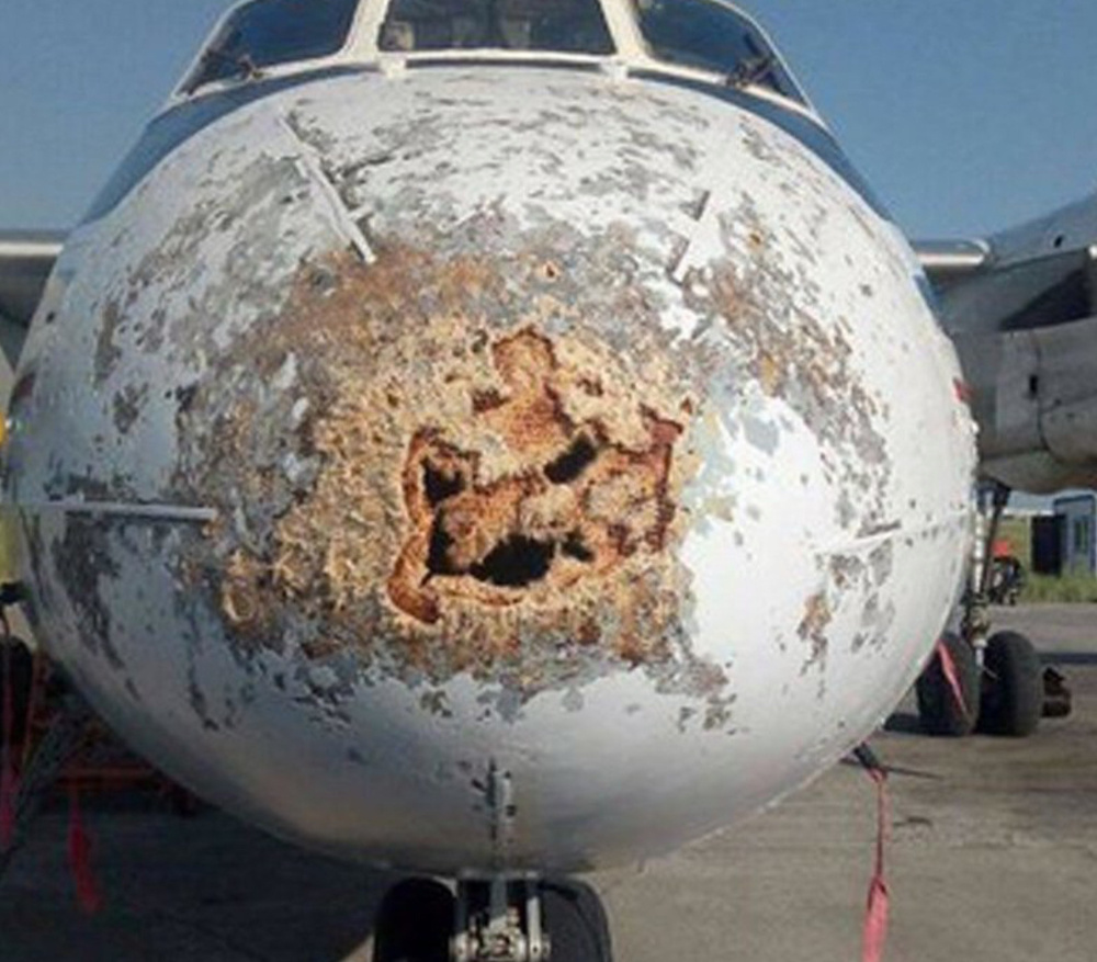 Кадры, сделанные после приземления самолетов: лучше этого не видеть Кадры, сделанные после приземления самолетов: лучше этого не видеть