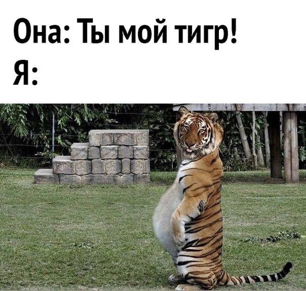 Приколы и забавные картинки для небольшой передышки