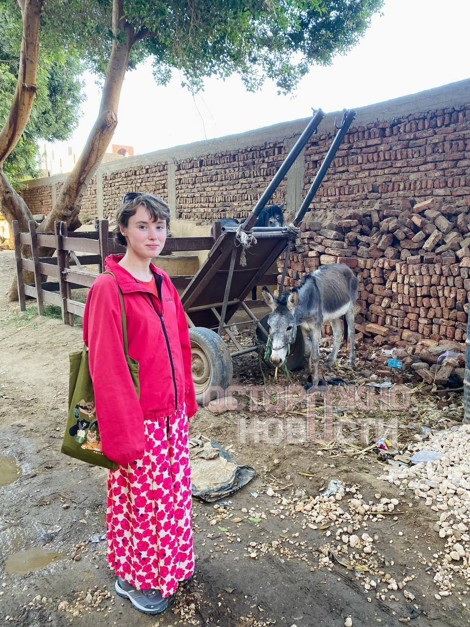 Полиция Египта предложила россиянам не писать заявление после вооруженного нападения на их палатку