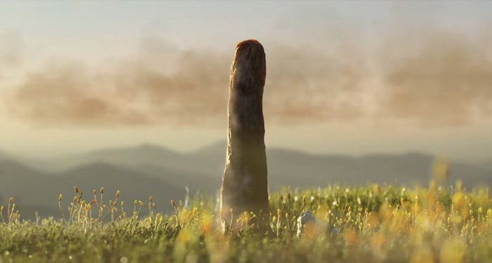 Загадочная форма жизни существовала на суше 400 млн лет назад