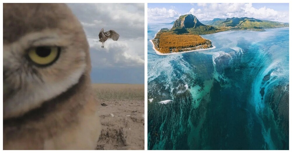 15 фотоисторий, доказывающих, что мир не потерял способности удивлять