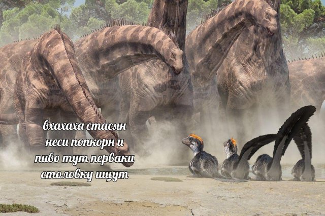 Лучшие шутки и мемы про школу